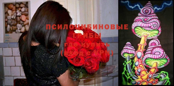 гидропоника Баксан