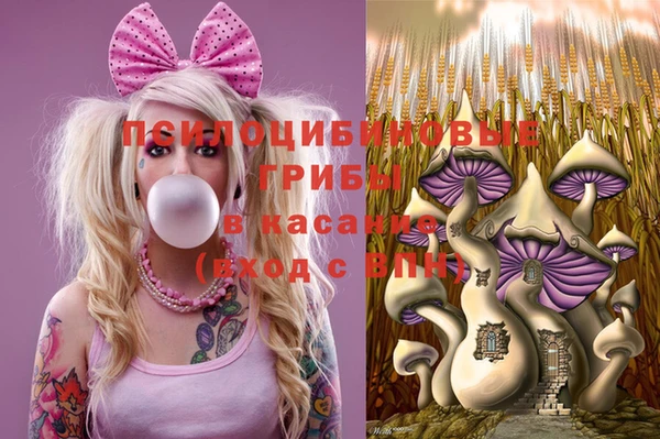 гидропоника Баксан