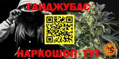 сатива Будённовск