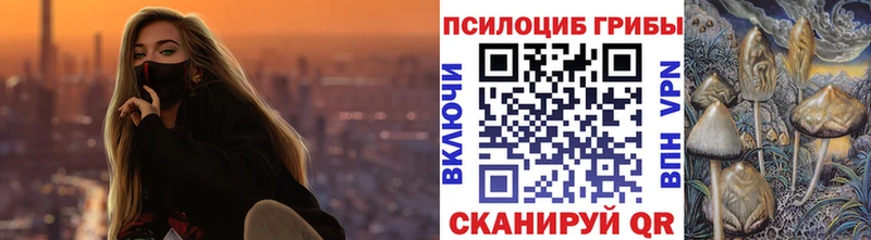 Псилоцибиновые грибы мицелий  где можно купить   Борисоглебск 