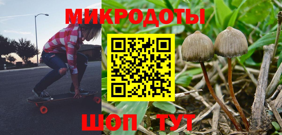 Галлюциногенные грибы мухоморы  Псилоцибиновые грибы ЛСД  где найти наркотики  Вход с VPN  Борисоглебск 